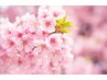 春の自律神経対策☆【55分→￥4,150→￥3,750】全身もみほぐし整体50分＋5分