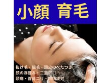 ピュアリッチ 博多の雰囲気（未来の美髪を育む至高の育毛促進ケア♪）