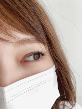 ベージュロータス(beige lotus)/フラットラッシュ