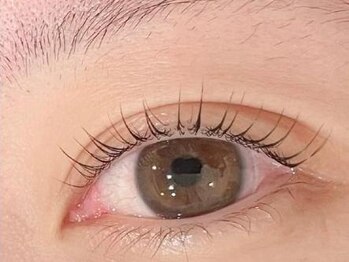 シル エルヴェ(cils elever)の写真/【お悩み別!】プラチナセーブル・ボリュームラッシュ・バインドロック・LEDエクステなどエクステ種類豊富★
