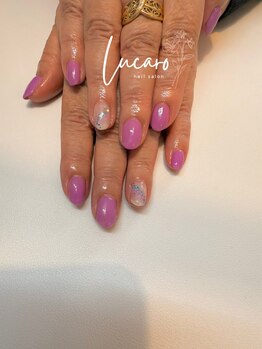 ルカロ(Lucaro)/~定額Bコース~