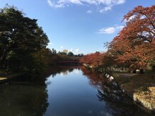まごんて整体院/弘前城公園 　不眠/姿勢/腰/快眠