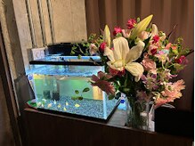 癒磁館 天神本店/＜店舗入口１＞