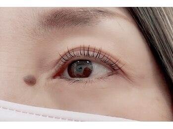 パル バイ ラベスト(Pal by lovest)/パリジェンヌ/最新まつ毛パーマ