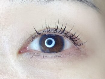 バモス(Vamos)/パリジェンヌラッシュリフト