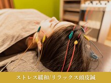 ビアンカ 目黒本院(Bianca)/ヘッドスパに匹敵する頭皮電気鍼