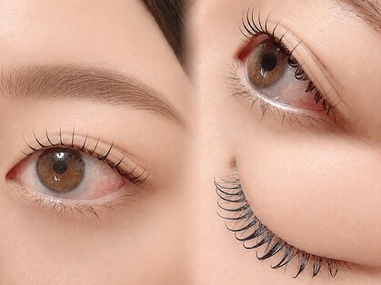 インク(inkk)の写真
