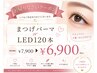【半年以上ご来店ない方限定】まつげパーマ or LEDエクステ100本 