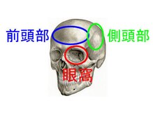 バズ カイロプラクティック(VAZ)/頭痛