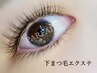 下まつ毛エクステのみ　フラットラッシュ　50本まで　￥4400