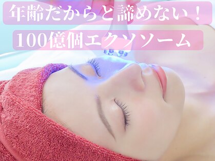 アイリープ(eyeleap)の写真