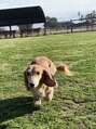 堺整骨院 三苫院&nbsp;愛犬とドッグラン♪