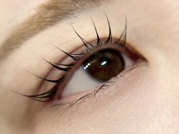 エスーガ(ESUGA)/