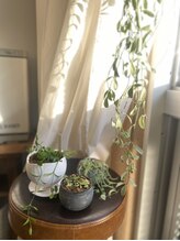 ボディ トーク ヒール コティ(Body talk Heal koti)/◇ Body talk Heal koti ◇