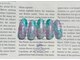 アネモネ(ANEMONE)の写真