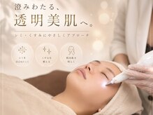 レルーナ ナナマルサン(LELUNA703)の雰囲気（プラズマでシミを垢化！繰り返し垢化を行う事で効果を実感♪）