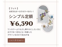 ルアナ 亀戸(Luana)/フットシンプル定額