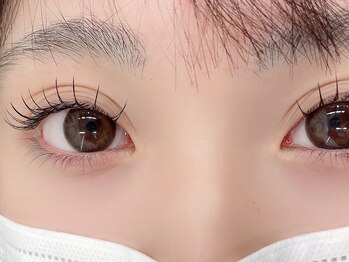 リプリ(RePuli)/フラットラッシュ120本