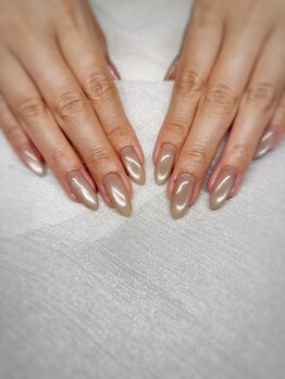 新色オフィスカラーマグネット