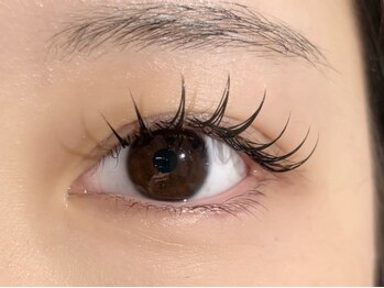 ラテ(Latte)/flat120本