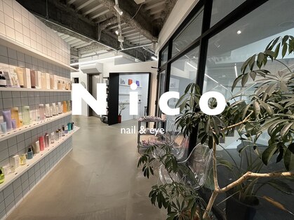 ニコ(Nico)の写真