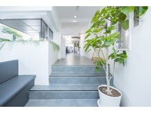 ビーツリー 三軒茶屋店(B+TREE produce by INFINEEZ)/お店の観葉植物がお出迎え♪