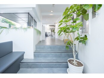 ビーツリー 三軒茶屋店(B+TREE produce by INFINEEZ)/お店の観葉植物がお出迎え♪