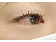 リグ(rig')/LEDフラットセーブルラッシュ