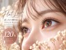 【新規限定】ぱっちり華やか♪フラットラッシュ120本 ￥4,900【新小岩】