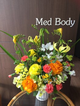 メドボディ(Med Body)/Med Body