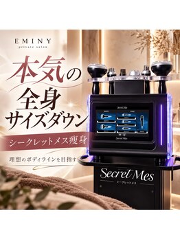 エミニー(EMINY)の写真/全身痩せを目指すなら！本格痩身×ダイエットサポート