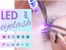 【30分時短付け足しクーポン】LEDフラットラッシュ80本 *他店付け足しOK *