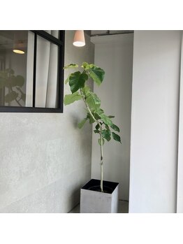 レ ディシェ(Re.Diche)/