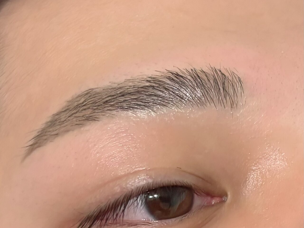 メンズ限定【メンズ眉毛Wax脱毛、眉毛カット】￥5500