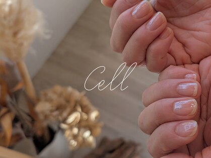 セル(Cell)の写真