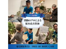 ツリーオブボディケア(TREE OF BODY CARE)