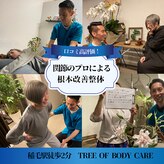 ツリーオブボディケア(TREE OF BODY CARE)