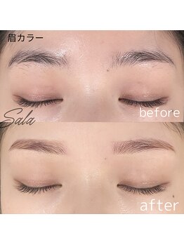 サラ(Sala)/眉カラー+WAX