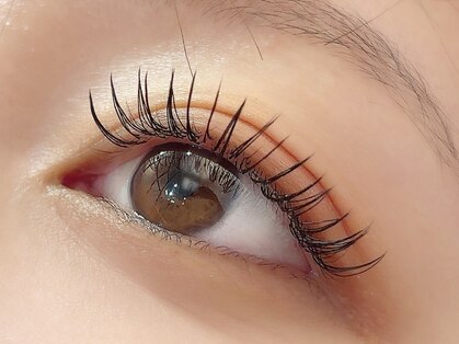 ペルシャ(Persian)の写真