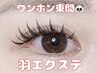 【話題の羽エクステ導入!】羽エクステフラット【ワンホンデザイン】¥4,980
