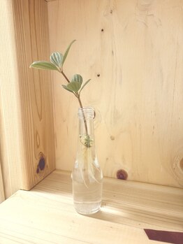 アンティオール 古河店/感謝！　【古河　整体】