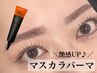 【新登場！SNSで話題！艶感UP♪】マスカラパーマ　通常価格￥8,250