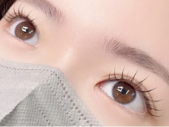 リトル(Litll)/フラットラッシュ100本