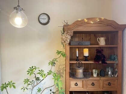 コッタ(kotta)の写真