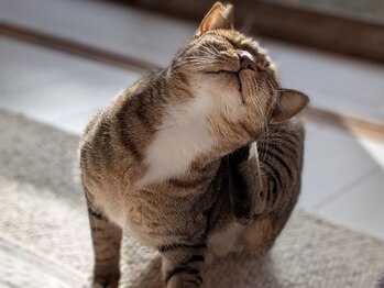 まるまる舎/2025年9月から仲間入り♪