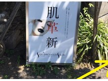 スキンイノベーションサロン 新潟女池店/道案内 11