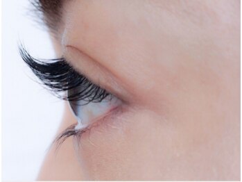 アイラッシュ フリーティエ(eyelash freetie)/◆Cカール◆