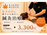 【ポイント鍼灸】辛いその部分に。集中鍼灸体験！