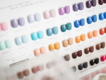 アイコ(aiko)の写真
