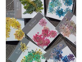 2023　秋冬 押し花ネイル